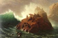 Bierstadt, Albert - Seal Rock